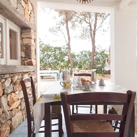Studio Iolanda דירה